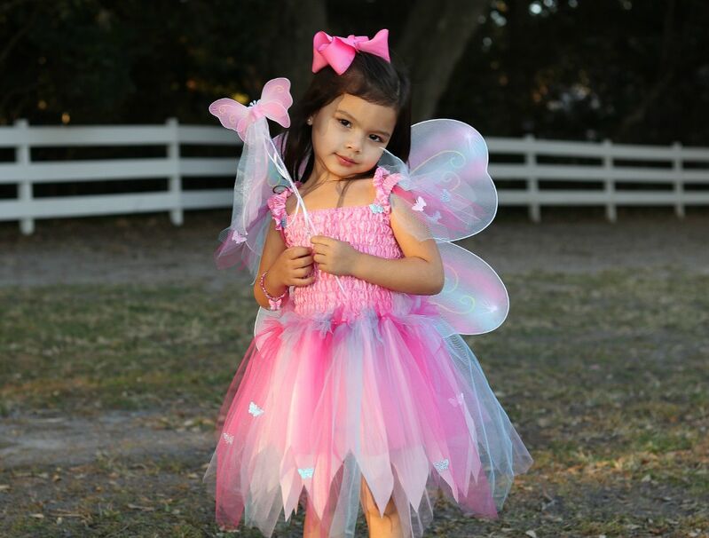 GREAT PRETENDERS | PINK BUTTERFLY DRESS WITH WINGS AND WAND