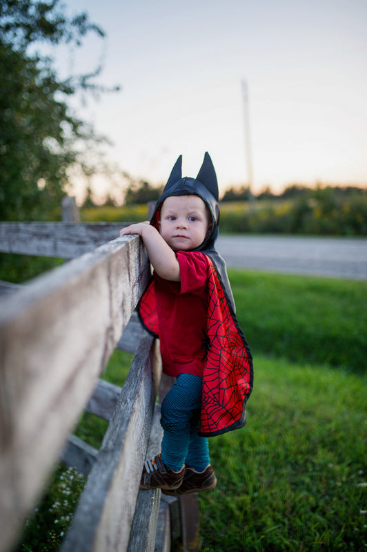 TODDLER REVERSIBLE SPIDER AND BAT CAPE