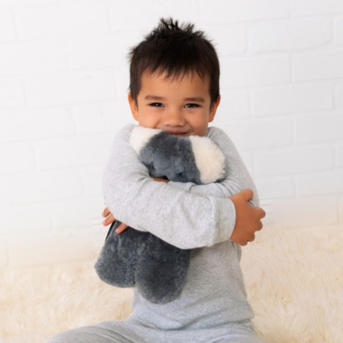 FLATOUT BEAR | KOALA GREY
