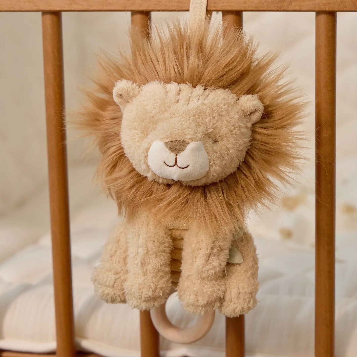 LITTLE DUTCH MUSIC BOX | LION