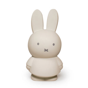 miffy money box - angus and dudley