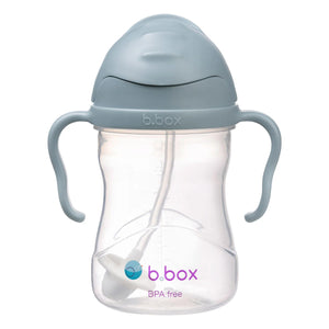 B Box Sippy Cup - Ocean