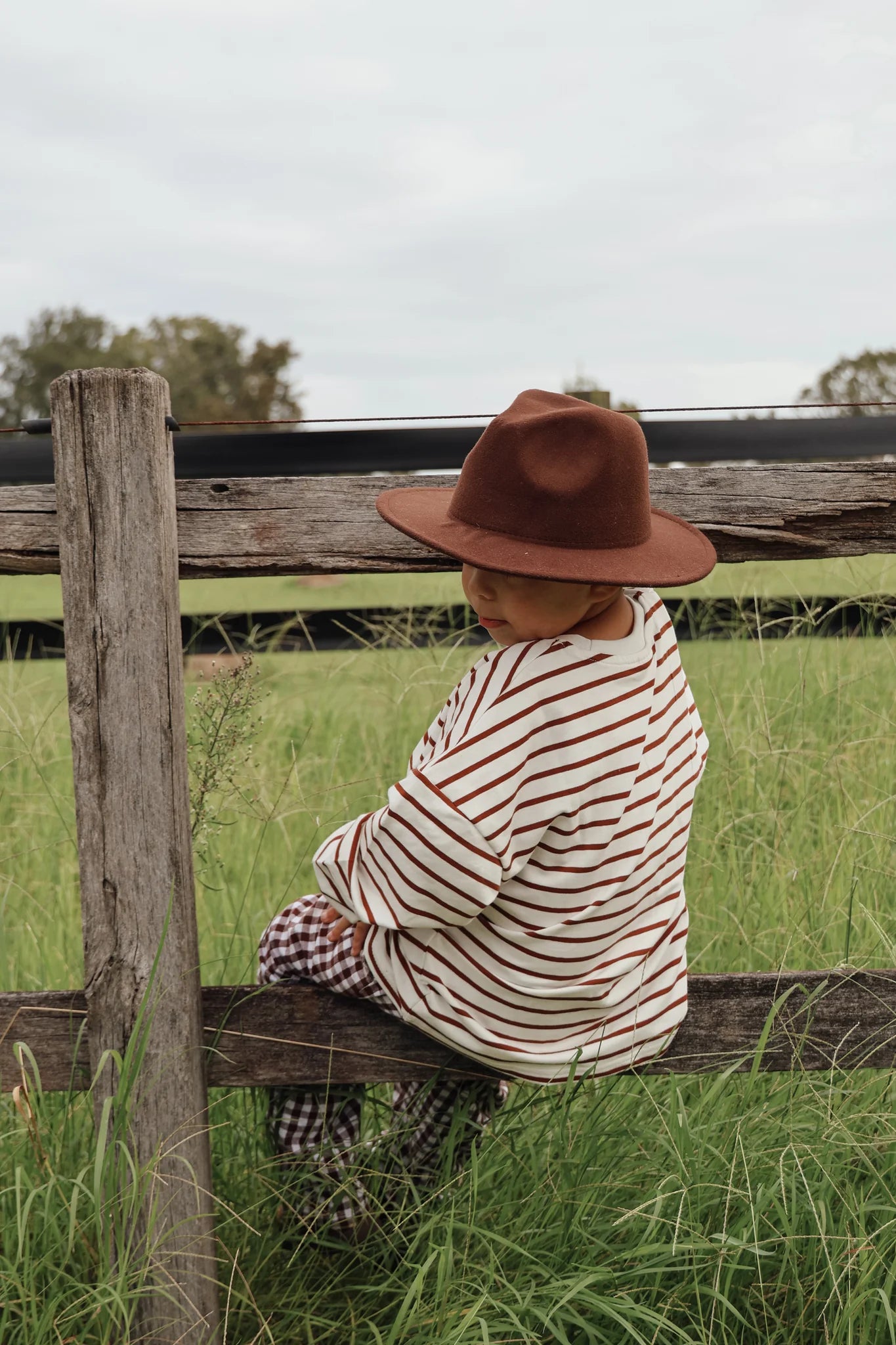 BLOSSOM AND PEAR LONG SLEEVE TOP | STRIPE CANYON