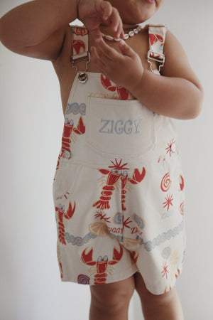 ZIGGY LOU SHORT OVERALLS | COSTA