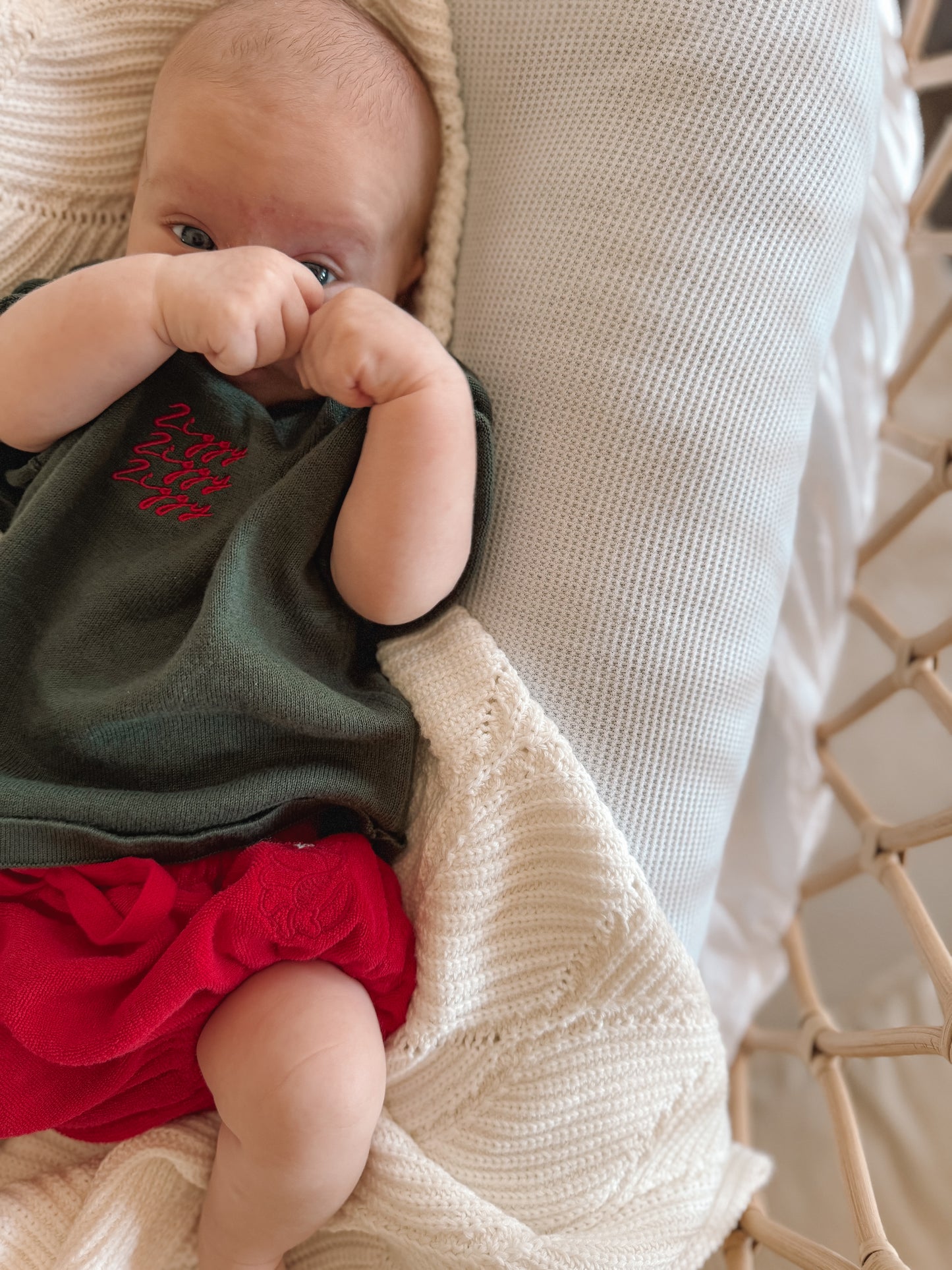 ZIGGY LOU SIGNATURE TEE | FIR