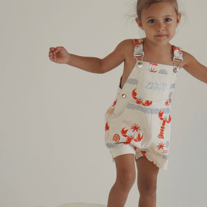 ZIGGY LOU SHORT OVERALLS | COSTA