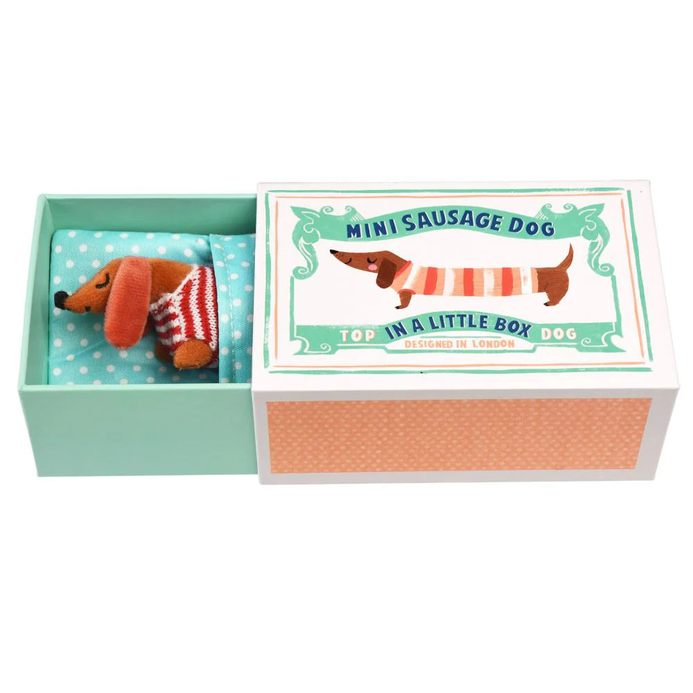 REX LONDON MINI SAUSAGE DOG IN A BOX - Angus & Dudley Collections