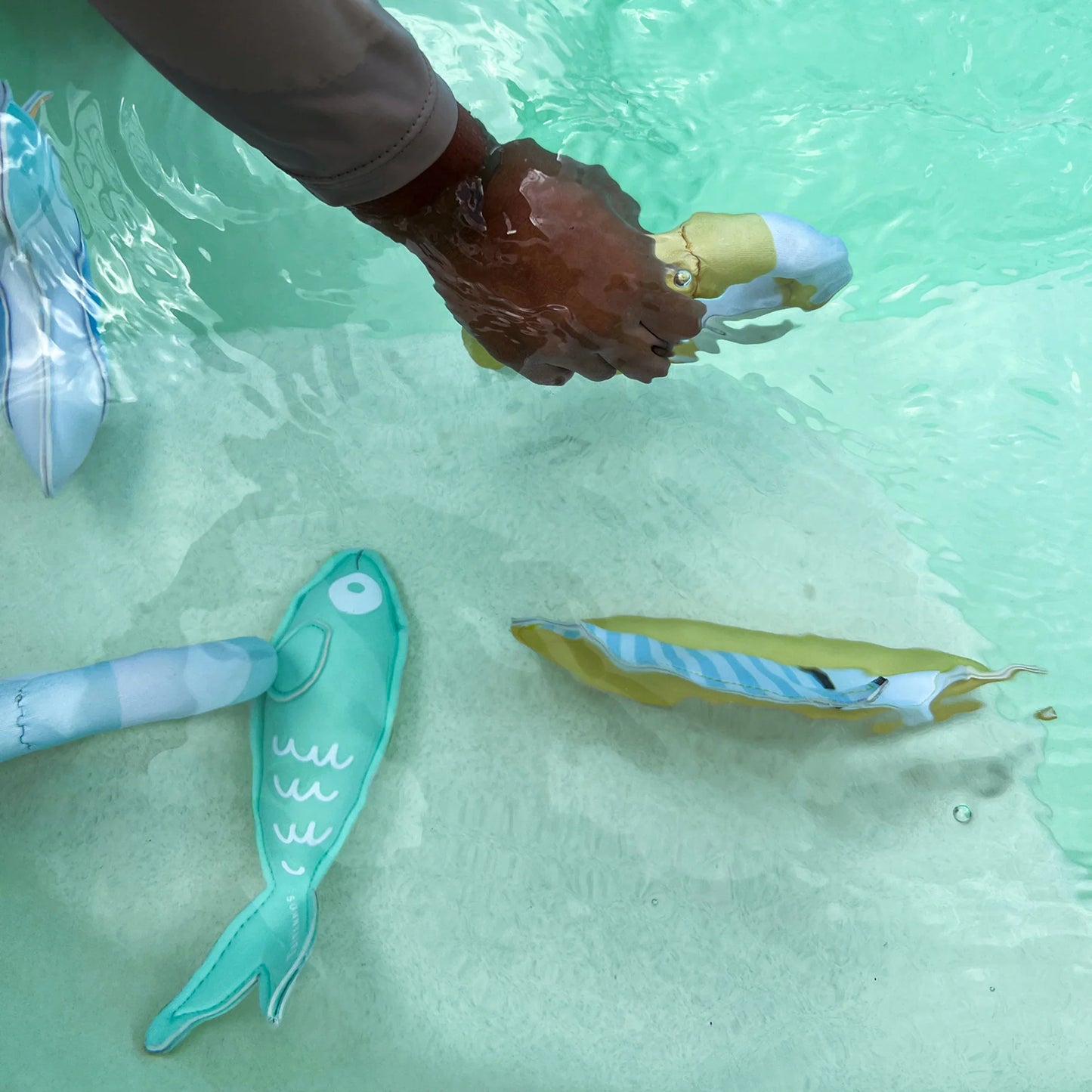 Sunnylife Dive Buddies - Sammy The Seagull Multi Set 6