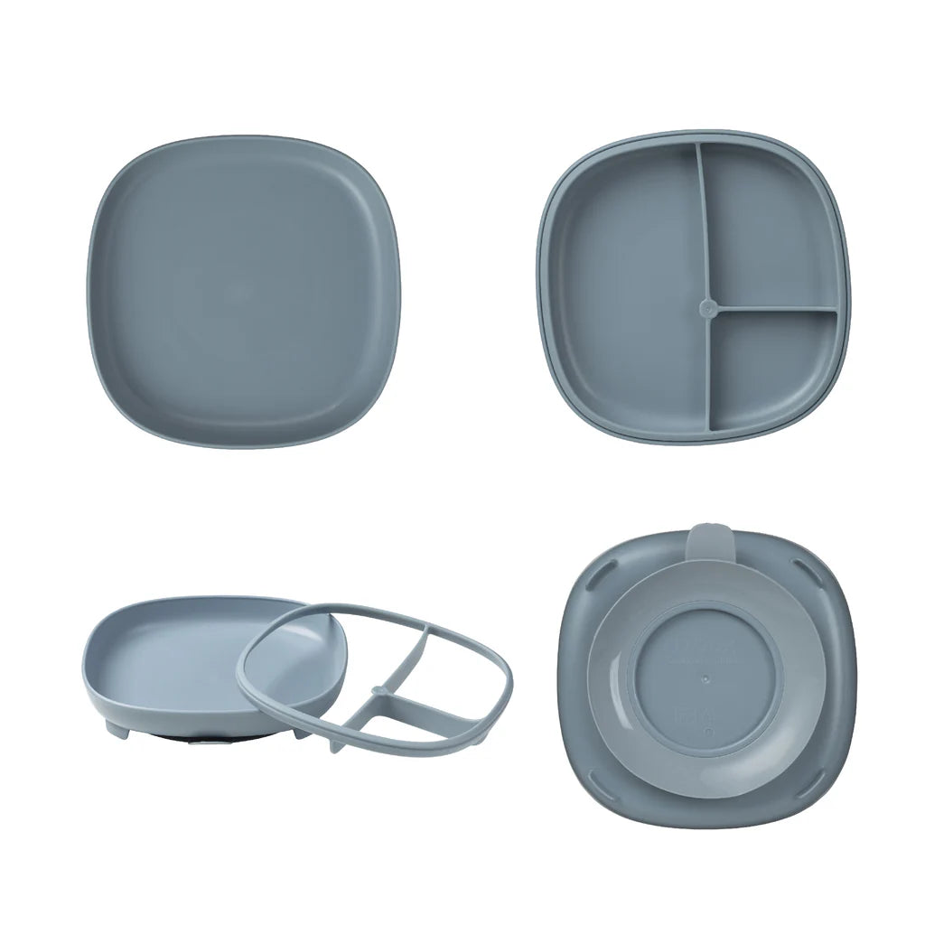 B BOX 2 IN 1 SUCTION PLATE | OCEAN - Angus & Dudley Collections