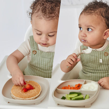 B BOX 2 IN 1 SUCTION PLATE | OCEAN - Angus & Dudley Collections