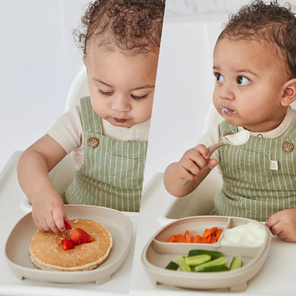 B BOX 2 IN 1 SUCTION PLATE | SAGE