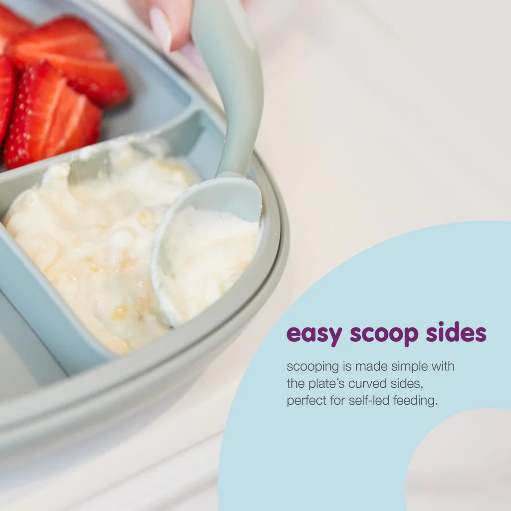 B BOX 2 IN 1 SUCTION PLATE | OCEAN - Angus & Dudley Collections