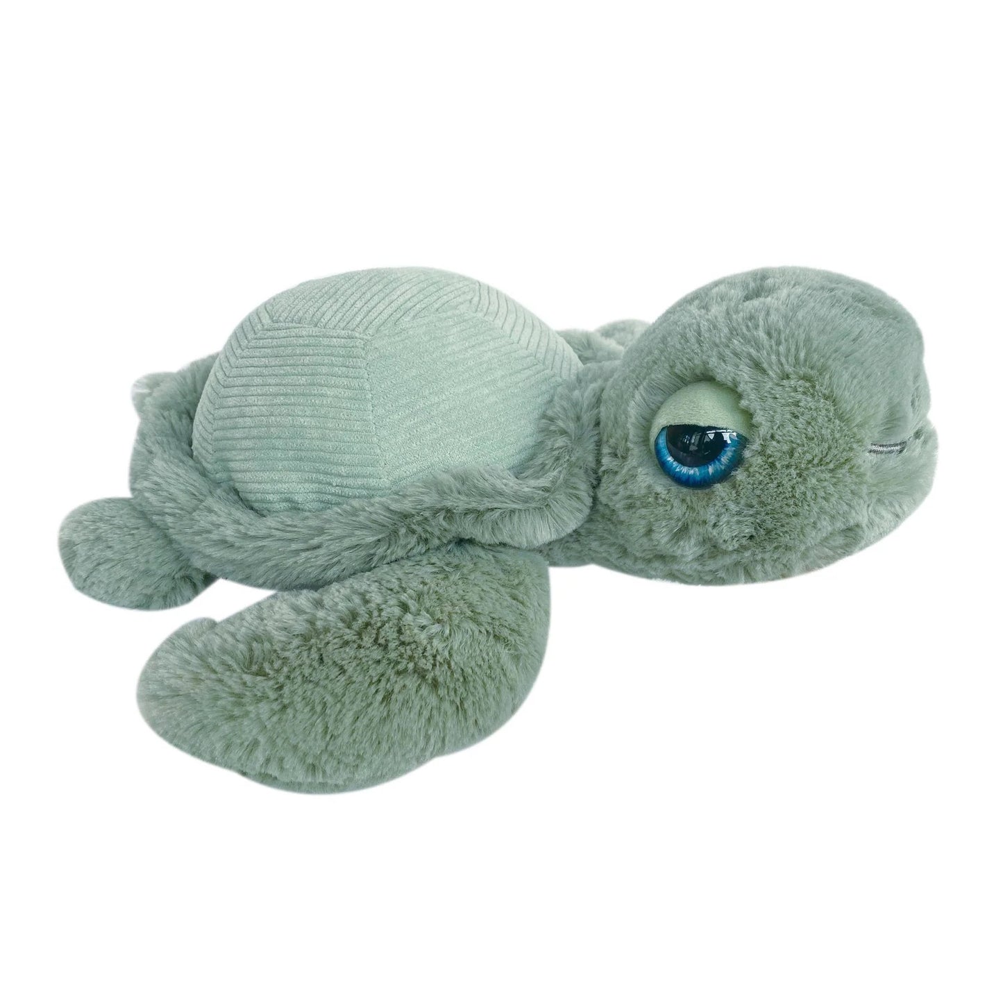 Plush turtle toy on a white background