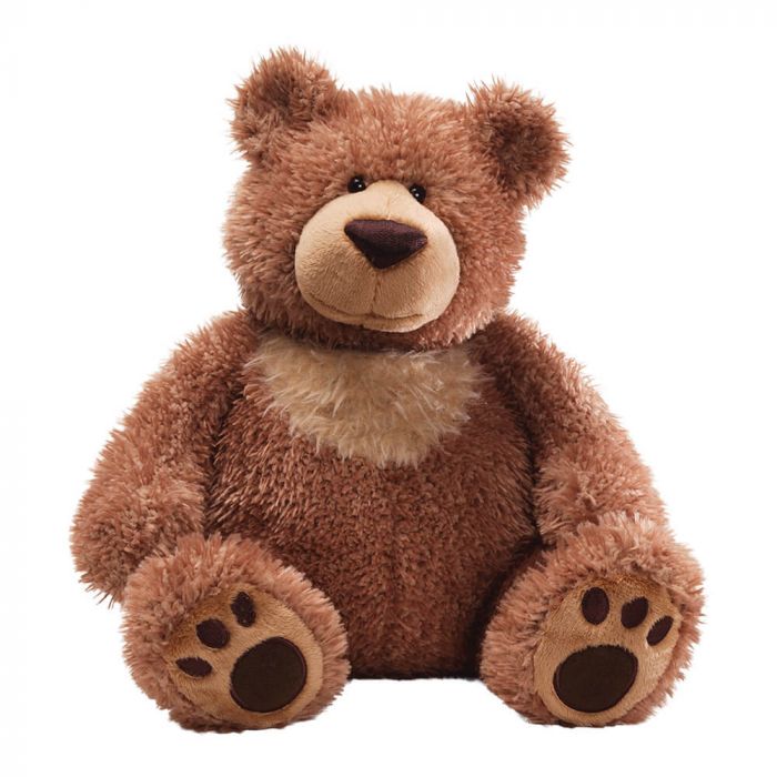 Brown teddy bear on a white background