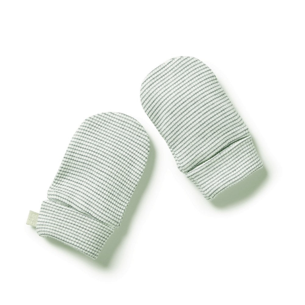 Wilson and Frenchy Organic Stripe Rib Mittens - Fern