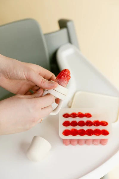 BIBS BABY FREEZER FOOD TRAY