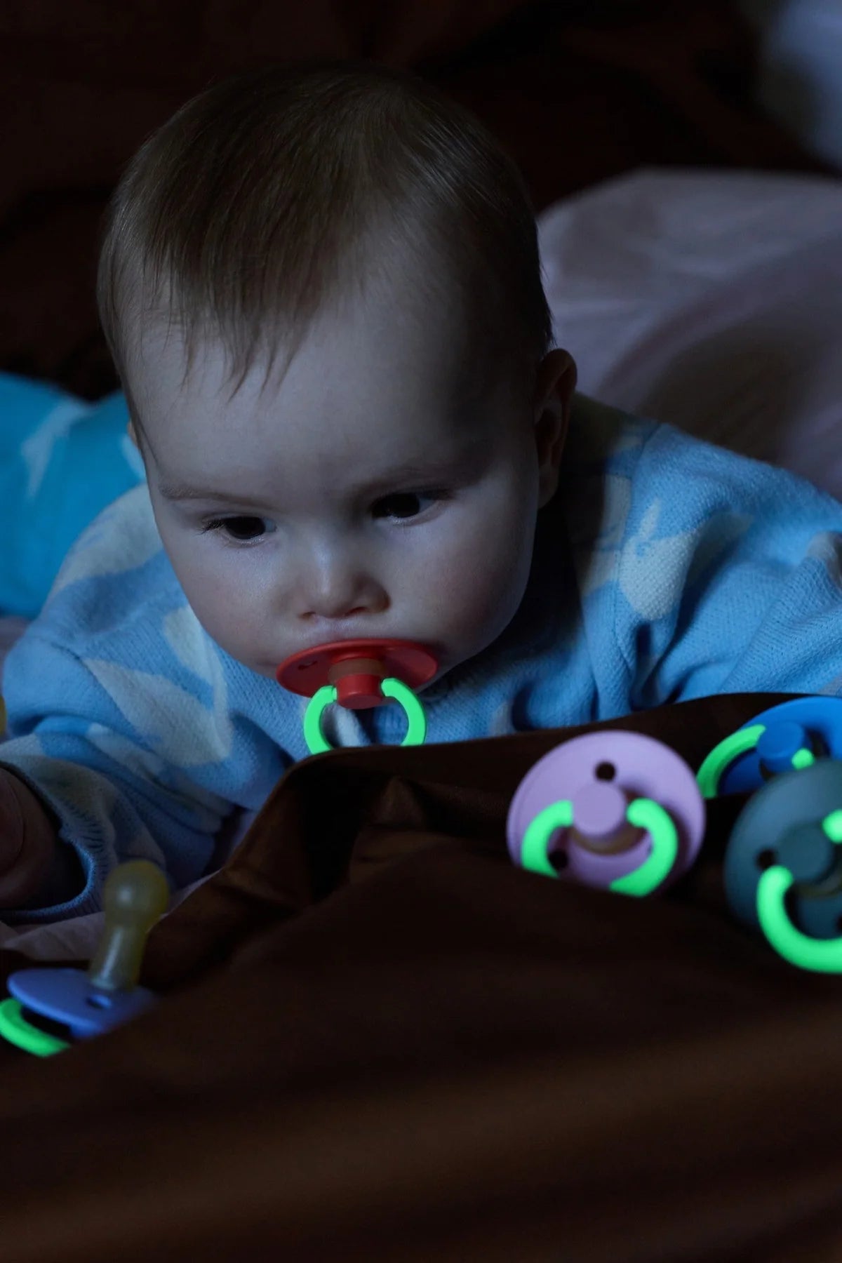 Bibs Colour Dummies (Night Glow) - Hush/Grape - (2 pack)