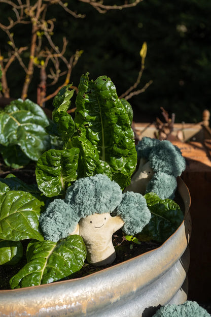 NANA HUCHY | BO BROCCOLI
