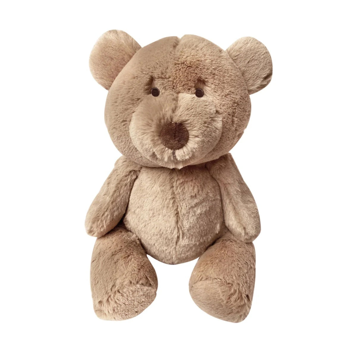 Plush teddy bear on a white background