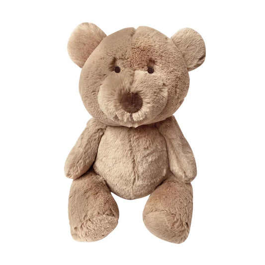 Plush teddy bear on a white background