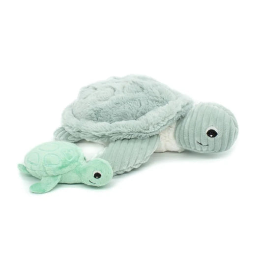 Two plush turtle toys, one larger and one smaller, on a white background.
