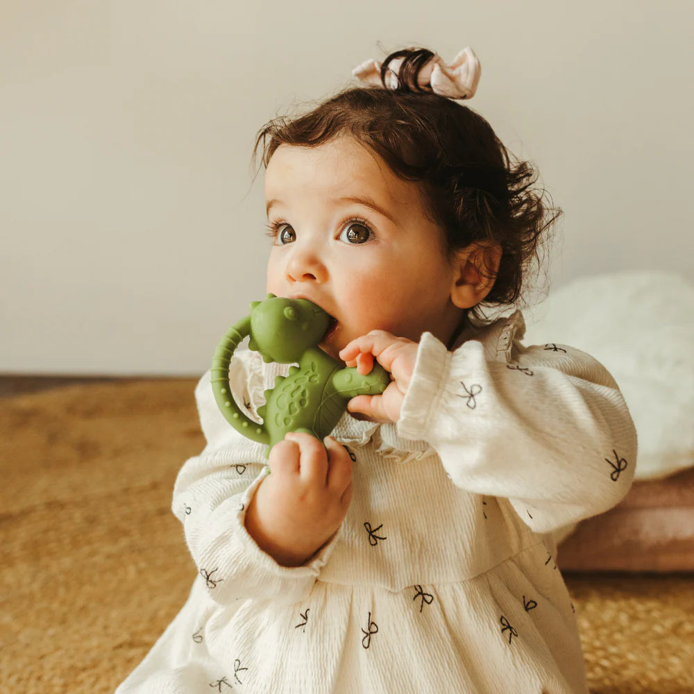 Jellystone Dino Teether