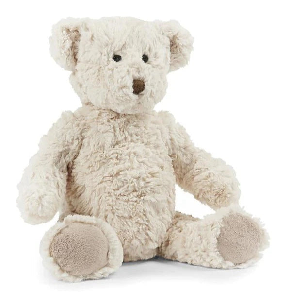 Plush teddy bear on a white background