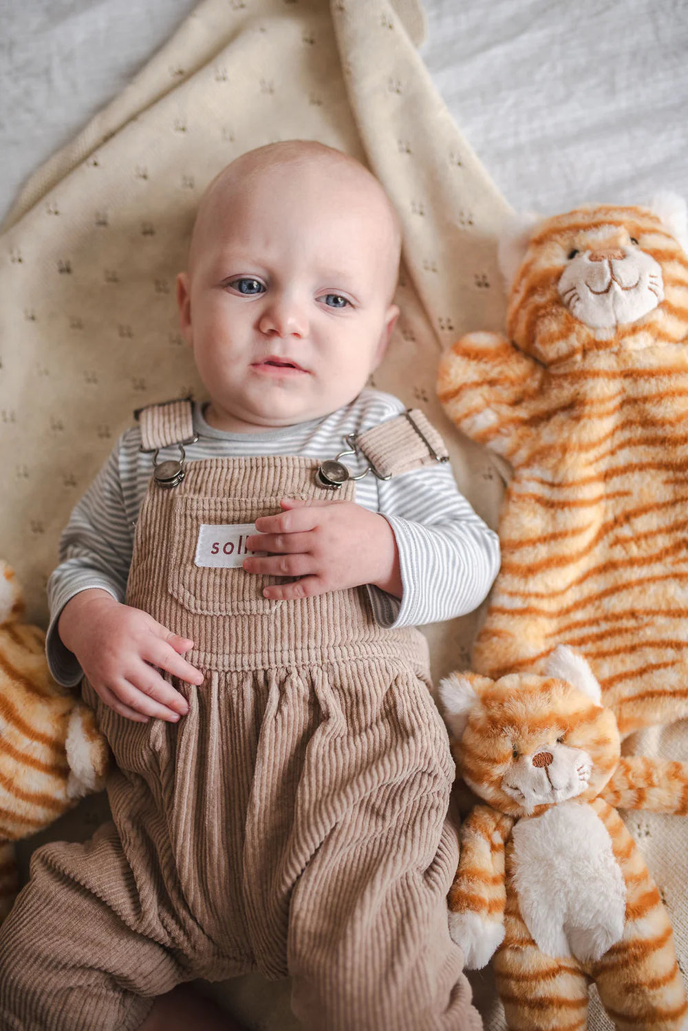 Nana Huchy Hoochy Coochie - Ginger Cat