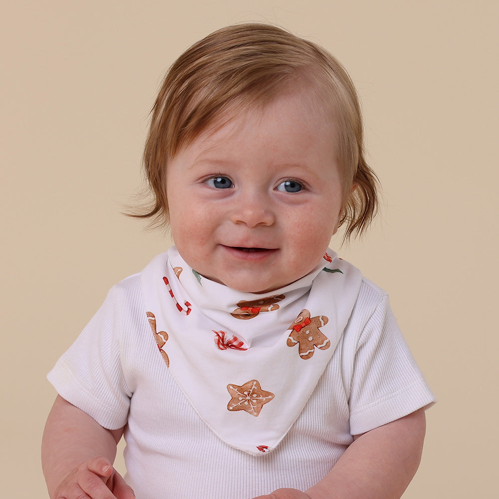Snuggle Hunny Dribble Bib - Gingerbread