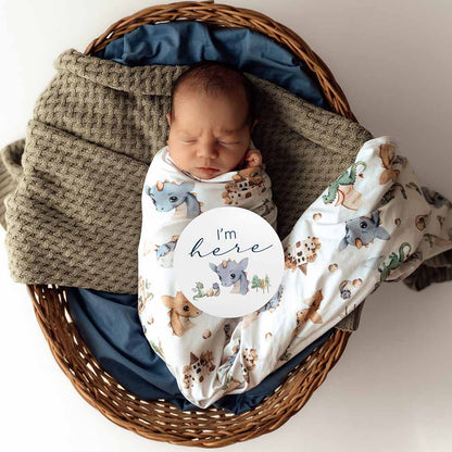 Snuggle Hunny Jersey Wrap and Beanie Set - Dragon