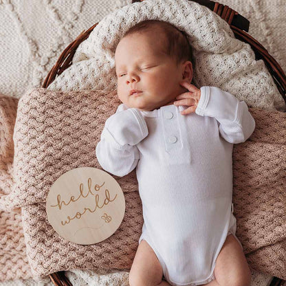 Snuggle Hunny Wooden Milestone Discs - Busy Bee