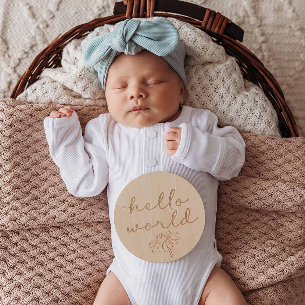 Snuggle Hunny Wooden Milestone Discs | Ladybug - Angus & Dudley Collections