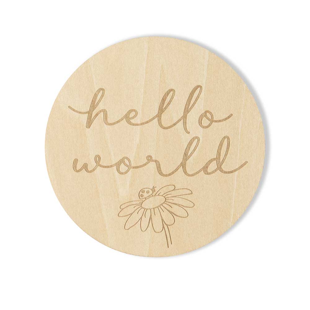 Snuggle Hunny Wooden Milestone Discs | Ladybug - Angus & Dudley Collections