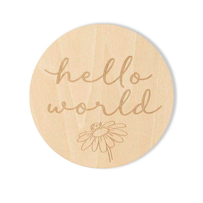 Snuggle Hunny Wooden Milestone Discs | Ladybug - Angus & Dudley Collections