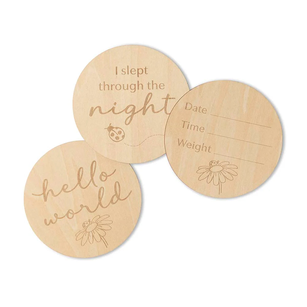 Snuggle Hunny Wooden Milestone Discs | Ladybug - Angus & Dudley Collections