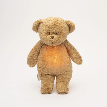 Brown teddy bear with a warm glow on a white background