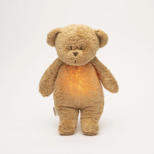 Brown teddy bear with a warm glow on a white background