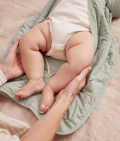 LOVE TO DREAM SWADDLE UP TRANSITION BAG 2.5 TOG | BEES OLIVE