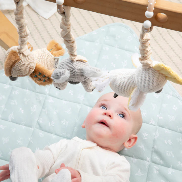 LIVING TEXTILES STROLLER TOYS 2 PACK | KOALA AND COCKATOO