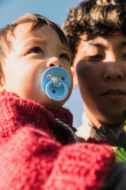 Bibs Colour Dummies - Urban Garden - Bumblebee Breeze Mix