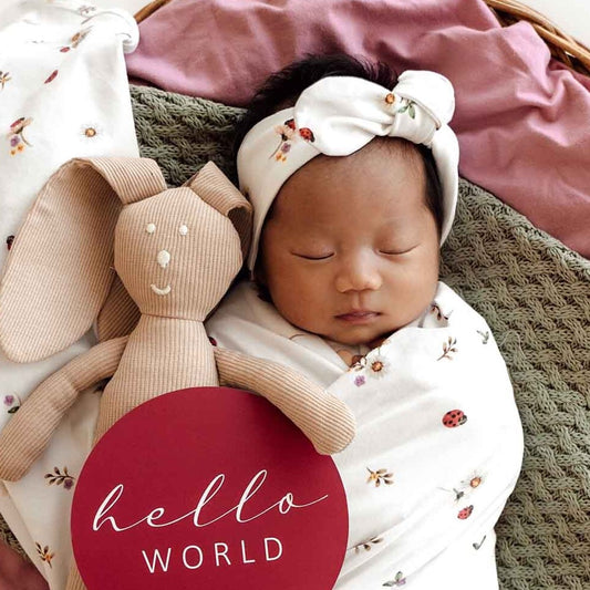 snuggle hunny headband - angus and dudley