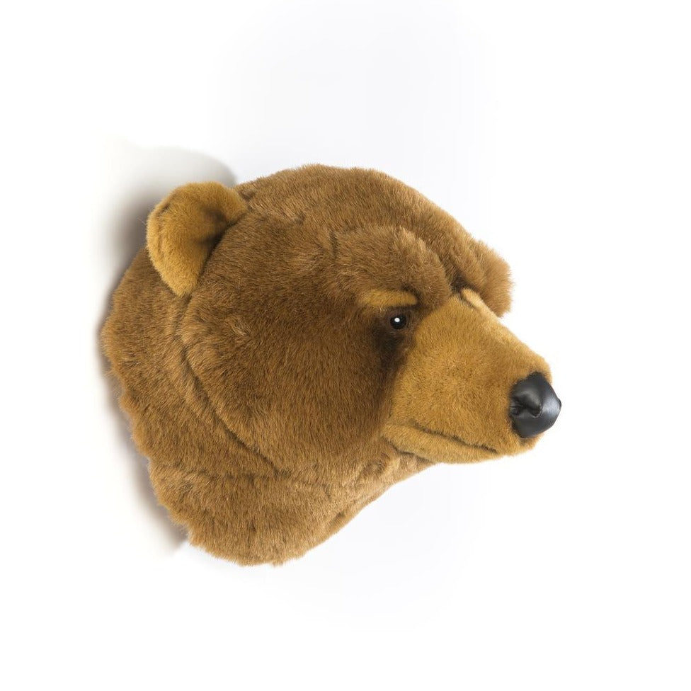 Wild and Soft Brown Bear Wall Decor - Kids bedroom wall art - Angus & Dudley Collections