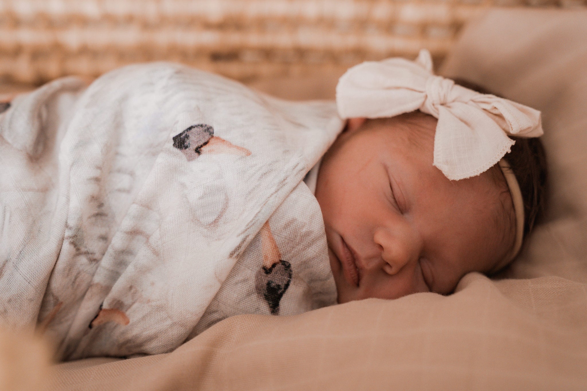 Popyatot swaddle best sale