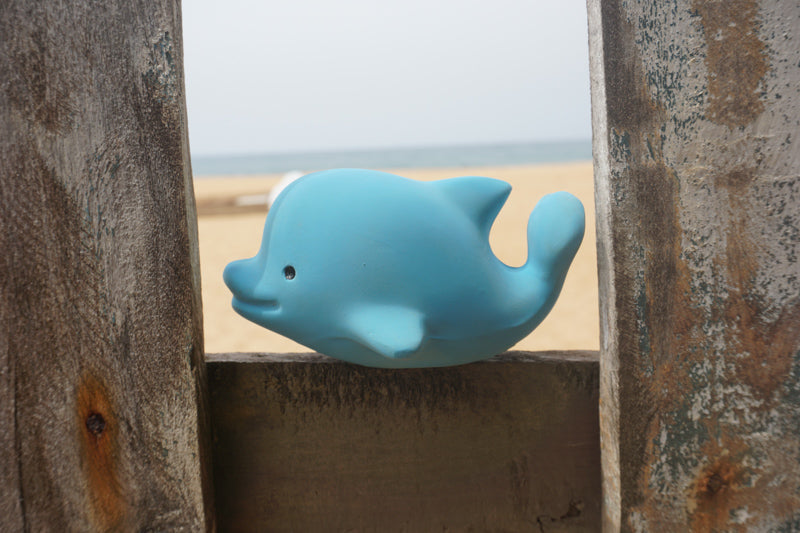 Tikiri Rattle Teether Bath Toy - Dolphin