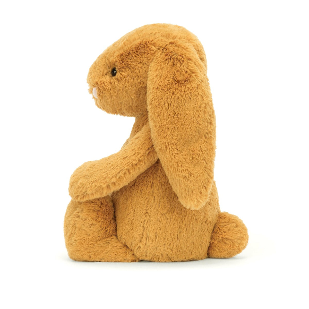 Jellycat bunny - angus and dudley