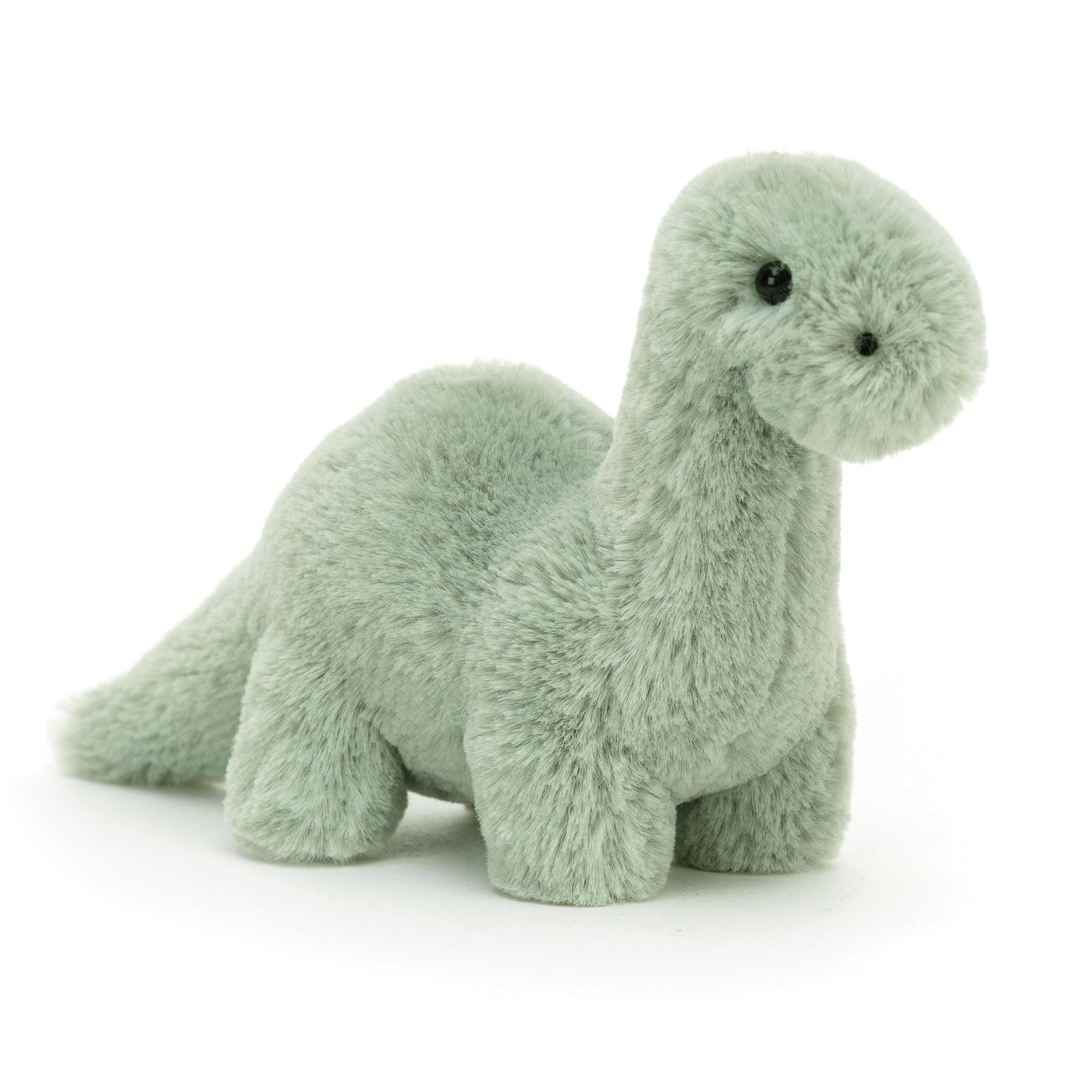 jellycat dinosaur - angus and dudley