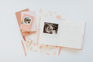 Little Dreamer Baby Journal - Petal